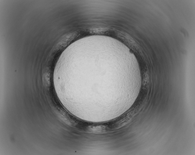 X0000111210452200907291255