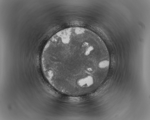 X0000111210457200907291255