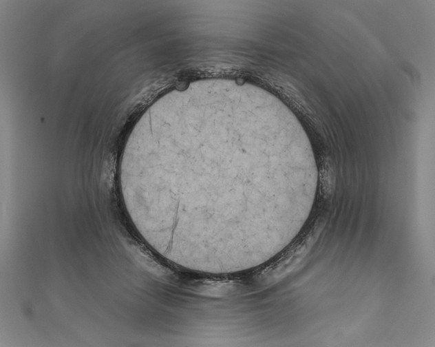 X0000111210458200907291255