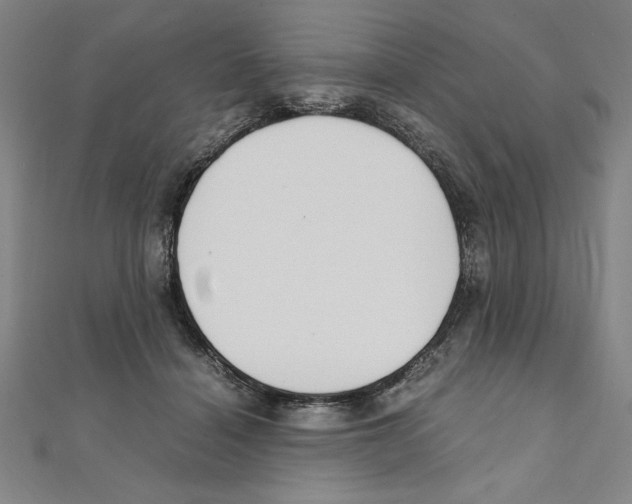 X0000111210460200907291255