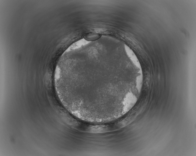 X0000111210461200907291255