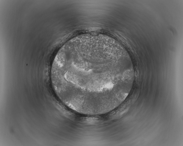 X0000111210462200907291255