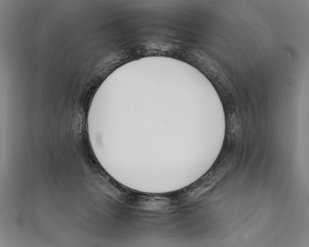 X0000111210463200907291255