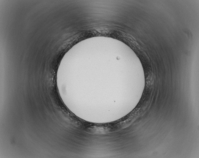 X0000111210464200907291255