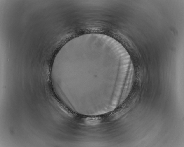 X0000111210465200907291255