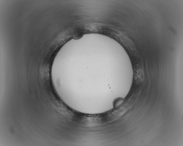 X0000111210466200907291255