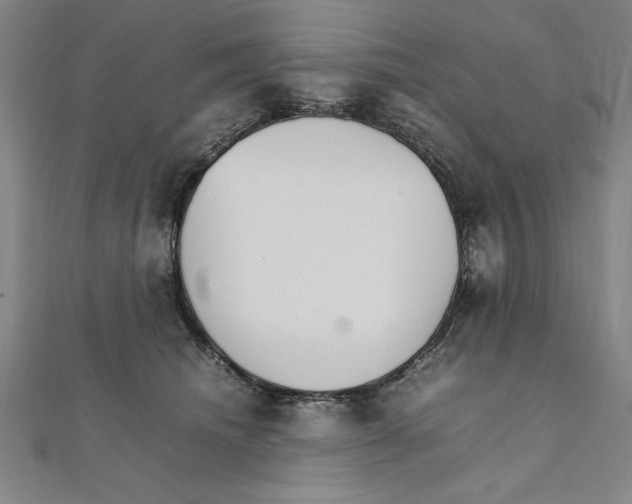 X0000111210468200907291255