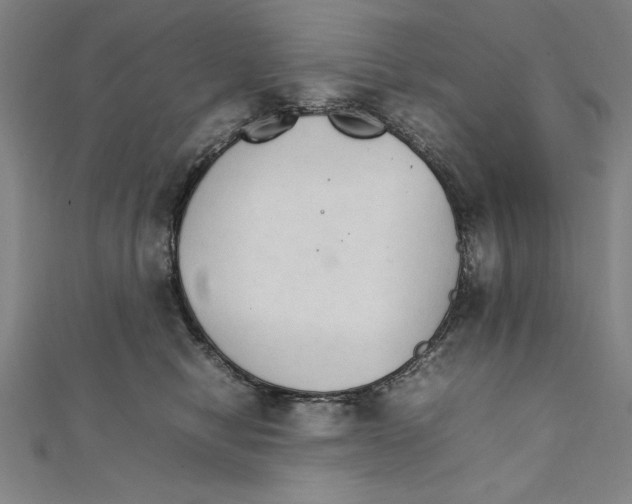 X0000111210470200907291255