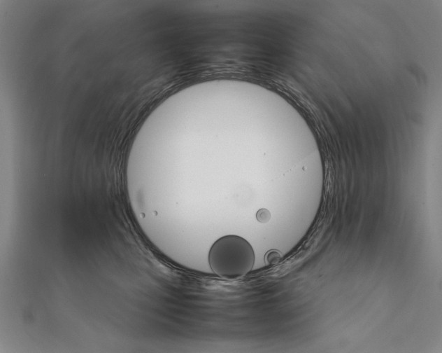 X0000111210471200907291255