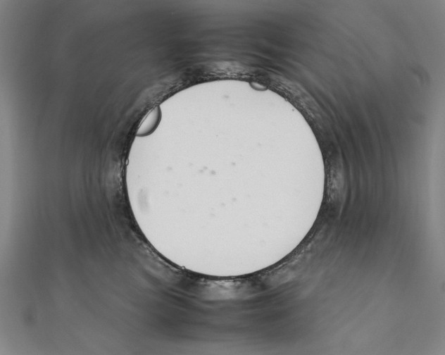 X0000111210473200907291255