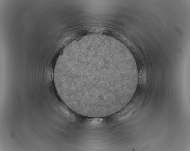X0000111210474200907291255