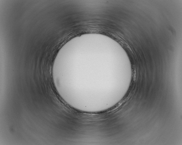 X0000111210476200907291255