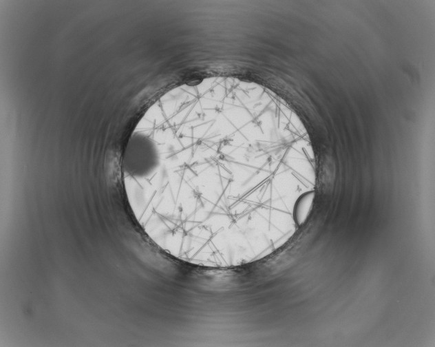X0000111210478200907291255