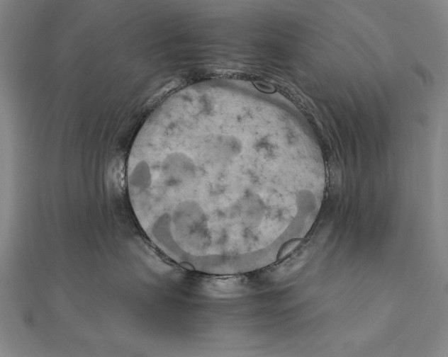 X0000111210479200907291255