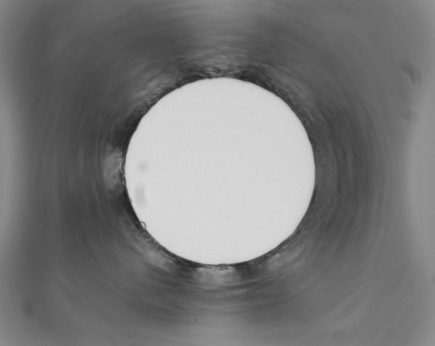 X0000111210480200907291255