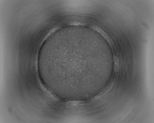 X0000111210482200907291255