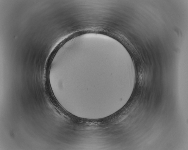 X0000111210484200907291254