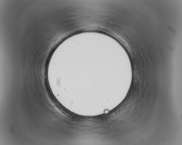 X0000111210485200907291254