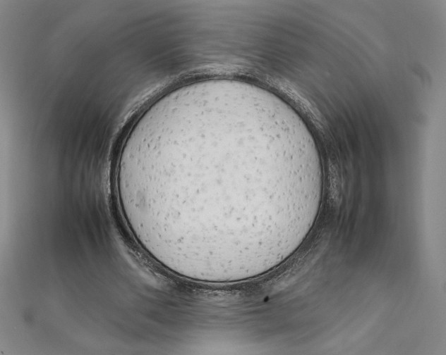 X0000111210486200907291254