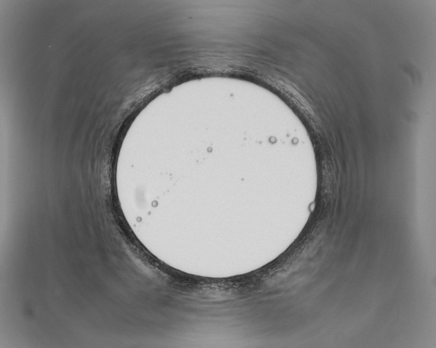 X0000111210489200907291254