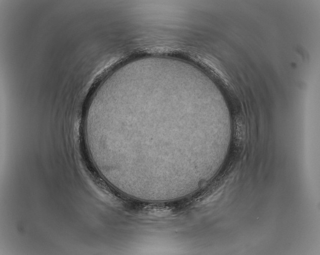 X0000111210491200907291254