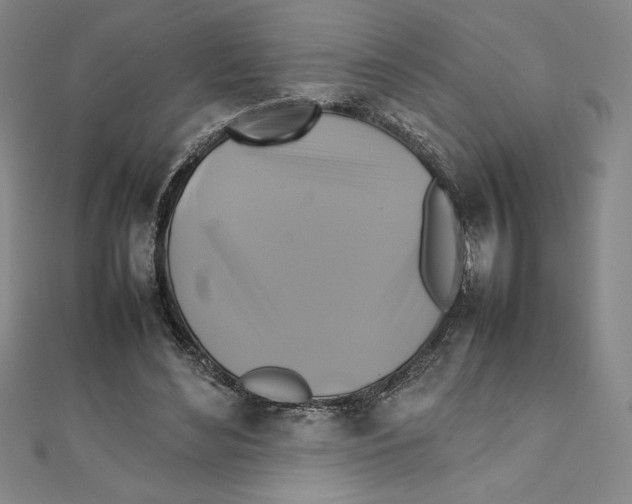 X0000111210492200907291254