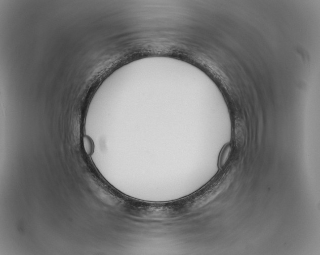 X0000111210493200907291254