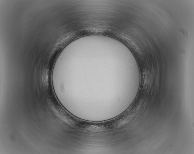 X0000111210494200907291254