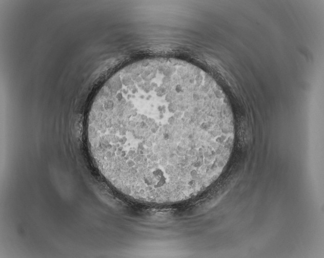 X0000111210495200907291254