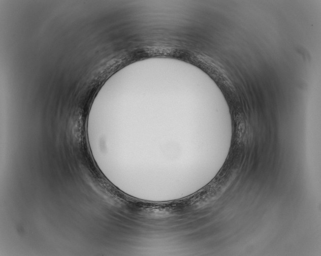 X0000111210498200907291254