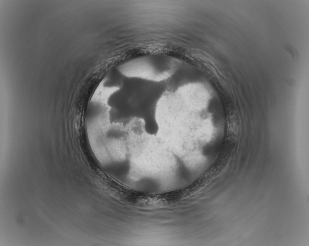 X0000111210503200907291254