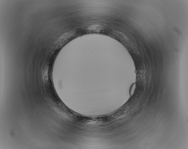 X0000111210504200907291254