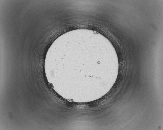 X0000111210505200907291254