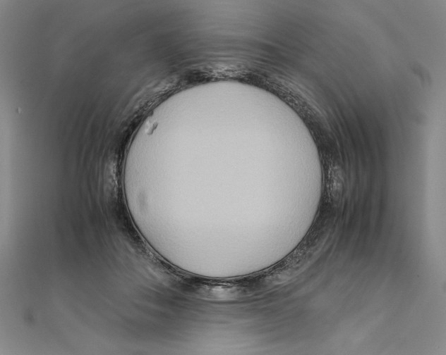 X0000111210506200907291254