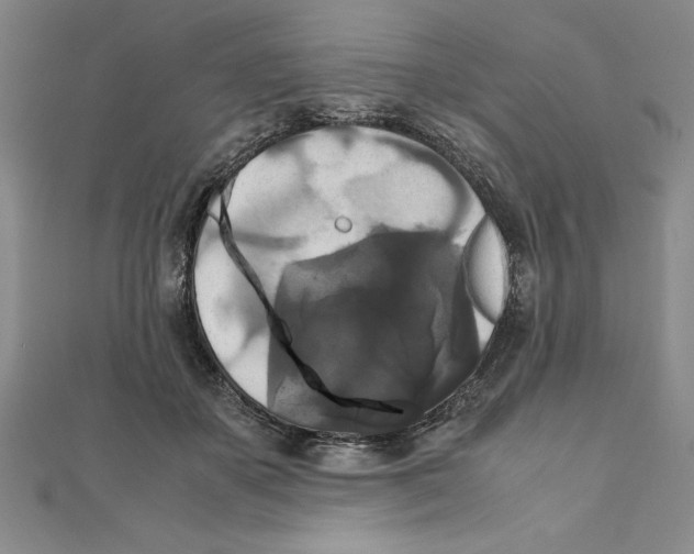 X0000111210507200907291254