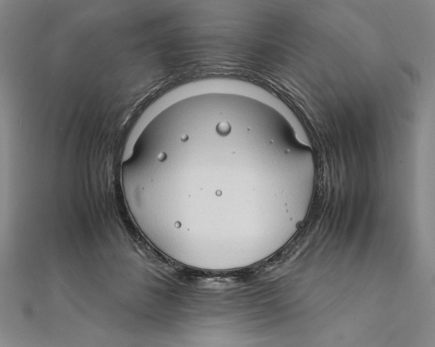 X0000111210508200907291254