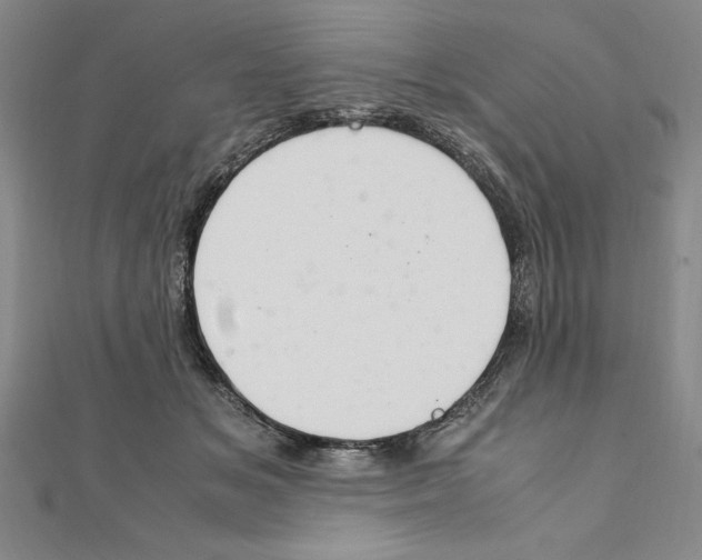 X0000111210509200907291254