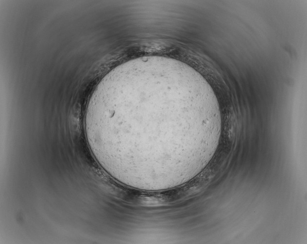 X0000111210510200907291254