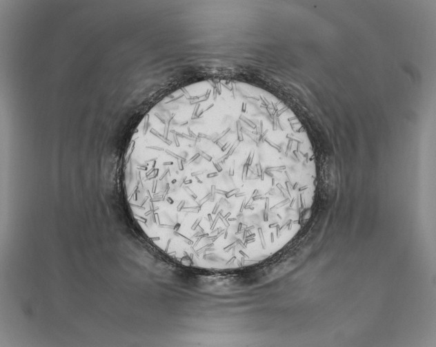 X0000111210511200907291254