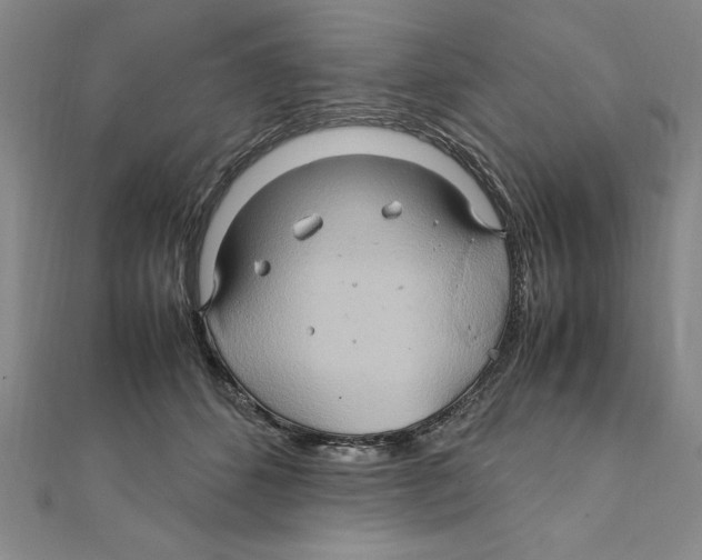 X0000111210512200907291254