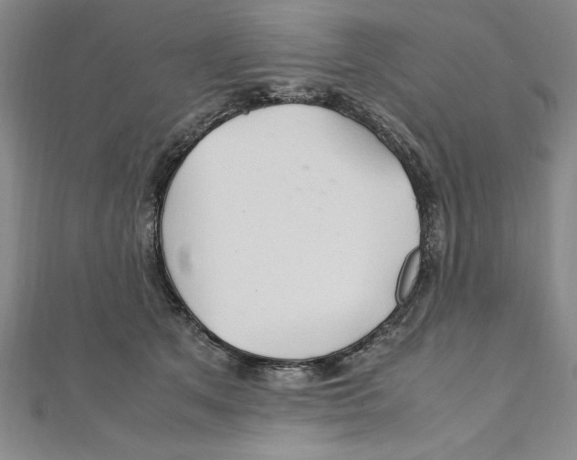 X0000111210513200907291254