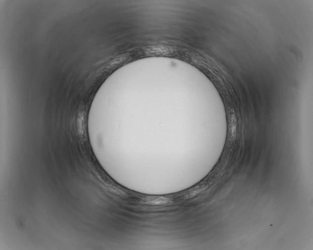 X0000111210514200907291254