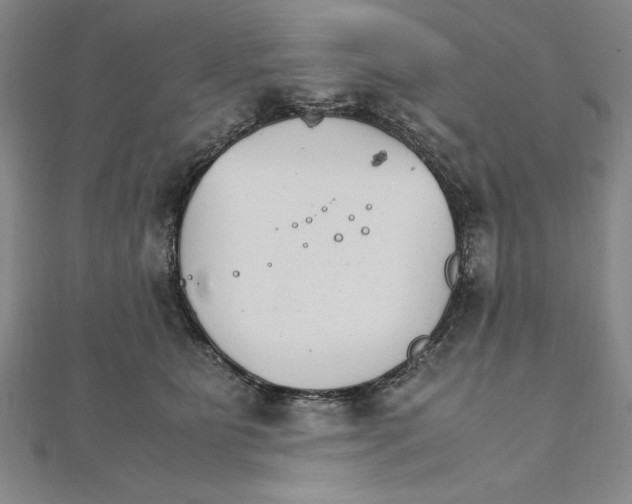 X0000111210515200907291254