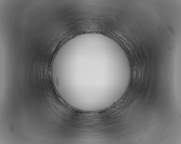 X0000111210516200907291254