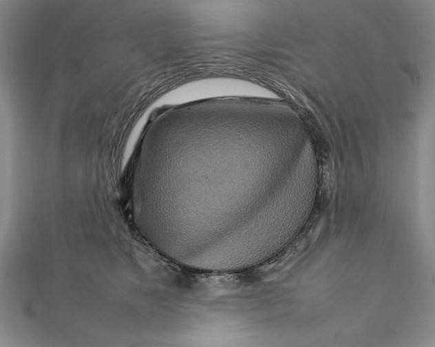 X0000111210517200907291254