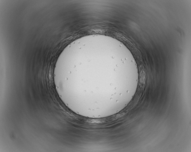 X0000111210518200907291254