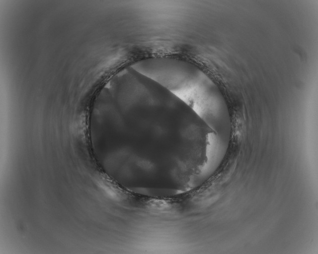 X0000111210519200907291254