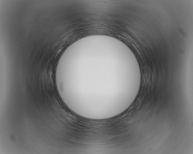 X0000111210520200907291254