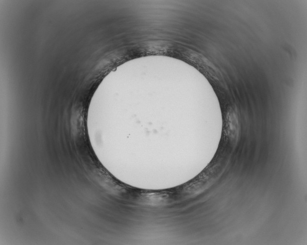 X0000111210522200907291254