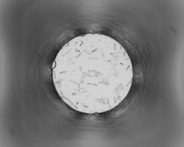 X0000111210523200907291254